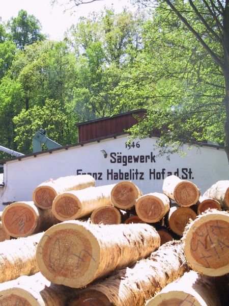 Baumstämme für die Produktion in unserem Sägewerk