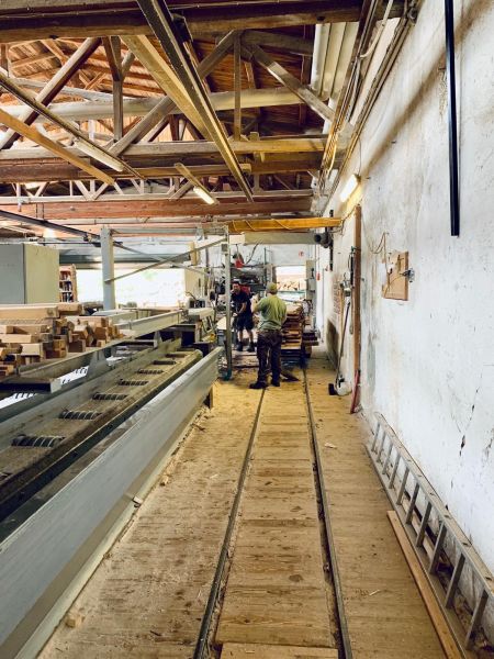 Blick in unser Habelitz-Sägewerk