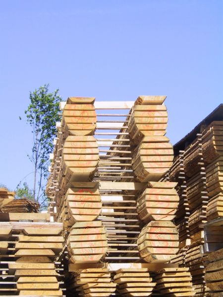 Dielen/Bohlen im Habelitz-Außenlager