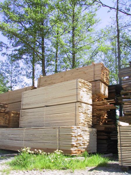 verschiedene Bretter aus unserem Lager