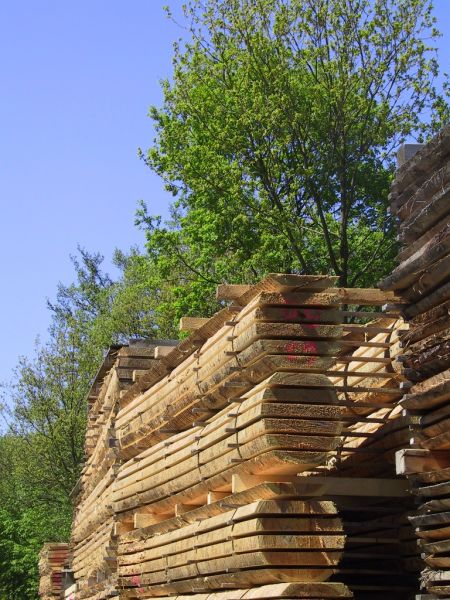 Unsere Außenlager mit den vielen Holzstapeln