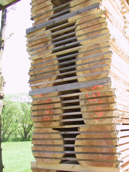 Dielen/Bohlen im Habelitz-Außenlager